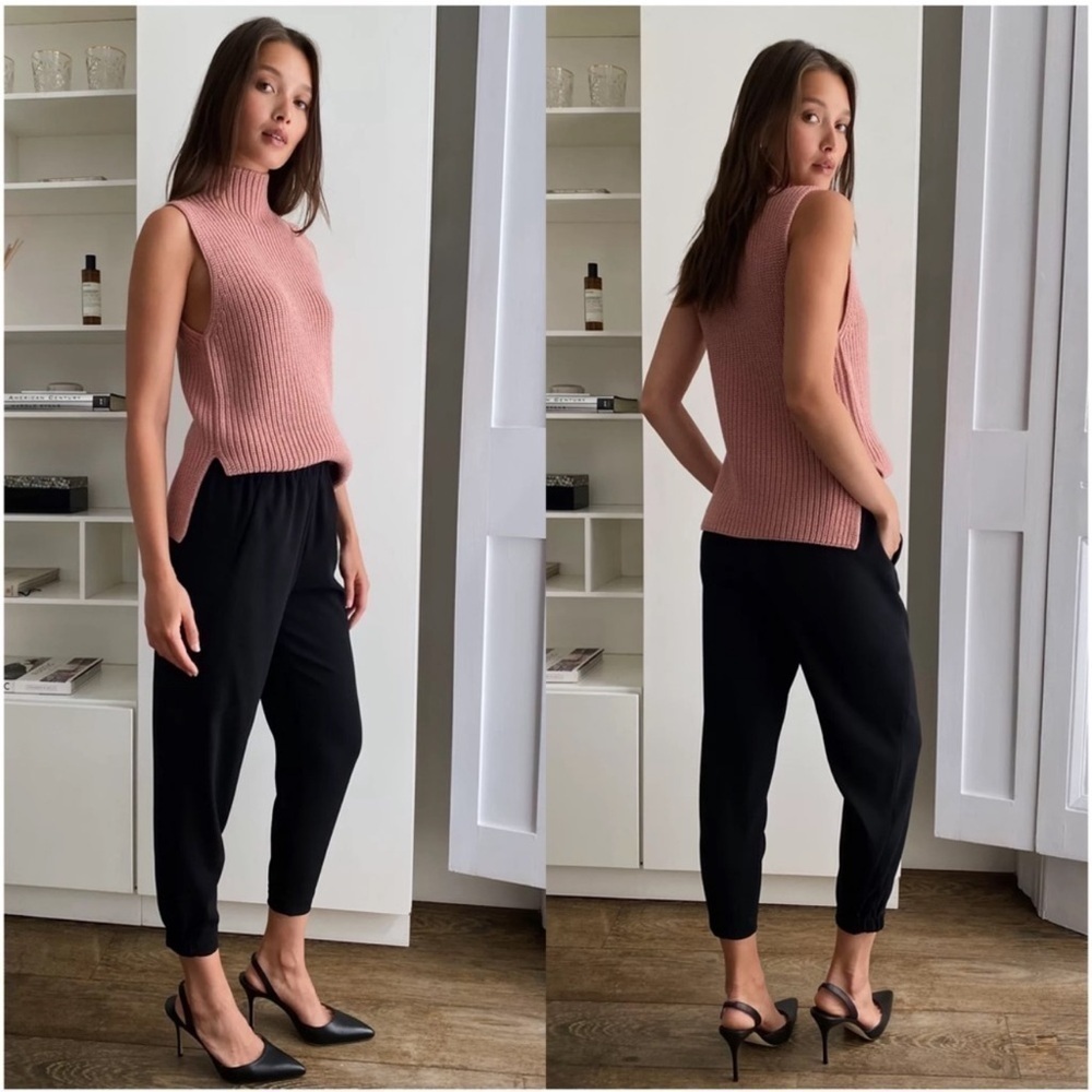 ARITZIA Babaton Dexter Pant In Black